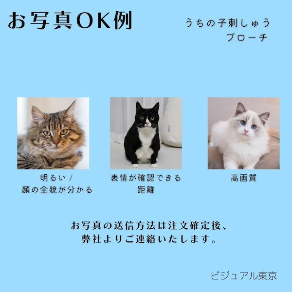うちの子刺しゅうブローチ