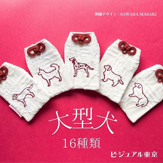 ã¯ã³ã¡ãããå®ã åå
¥ãåºç¹ ãããã¡ã¢ãªã¢ã« ããžã¥ã¢ã«æ±äº¬