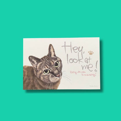 猫のポストカードセット（6枚入り）