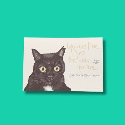 猫のポストカードセット（6枚入り）